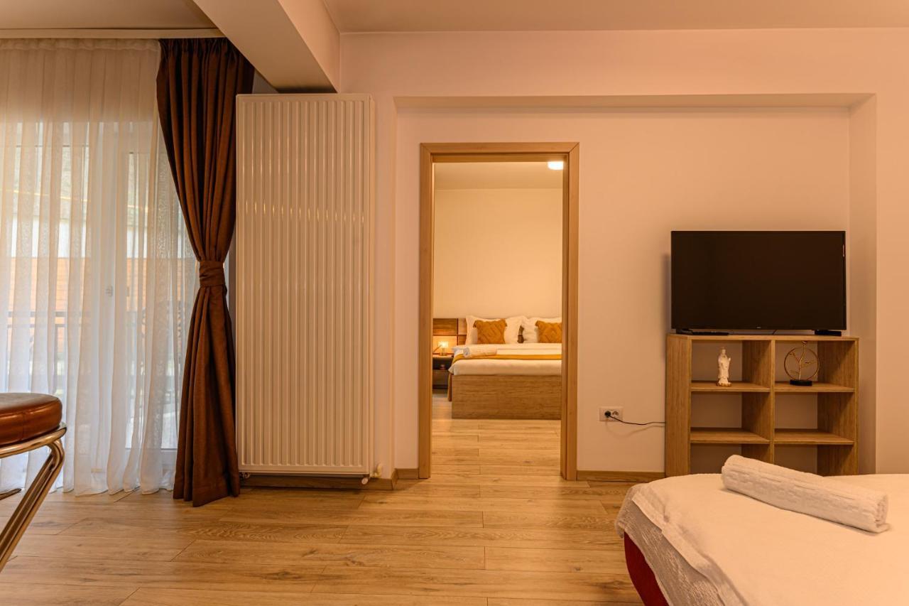 Jad - Luxury Apartments Afi Mall Braşov Buitenkant foto