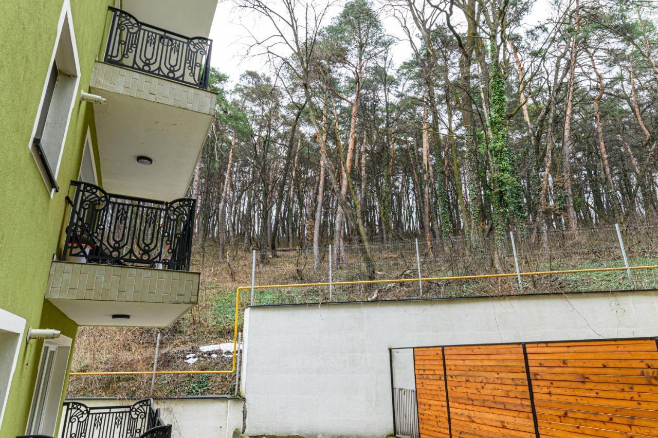 Jad - Luxury Apartments Afi Mall Braşov Buitenkant foto